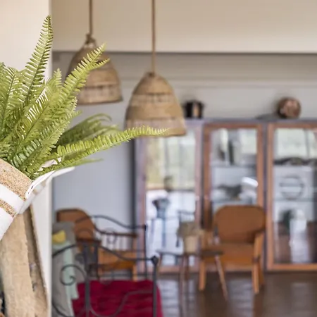 Casas Do Salao By Homie Порту-Мониш