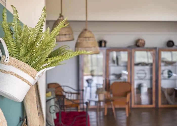 Casas Do Salao By Homie Porto Moniz